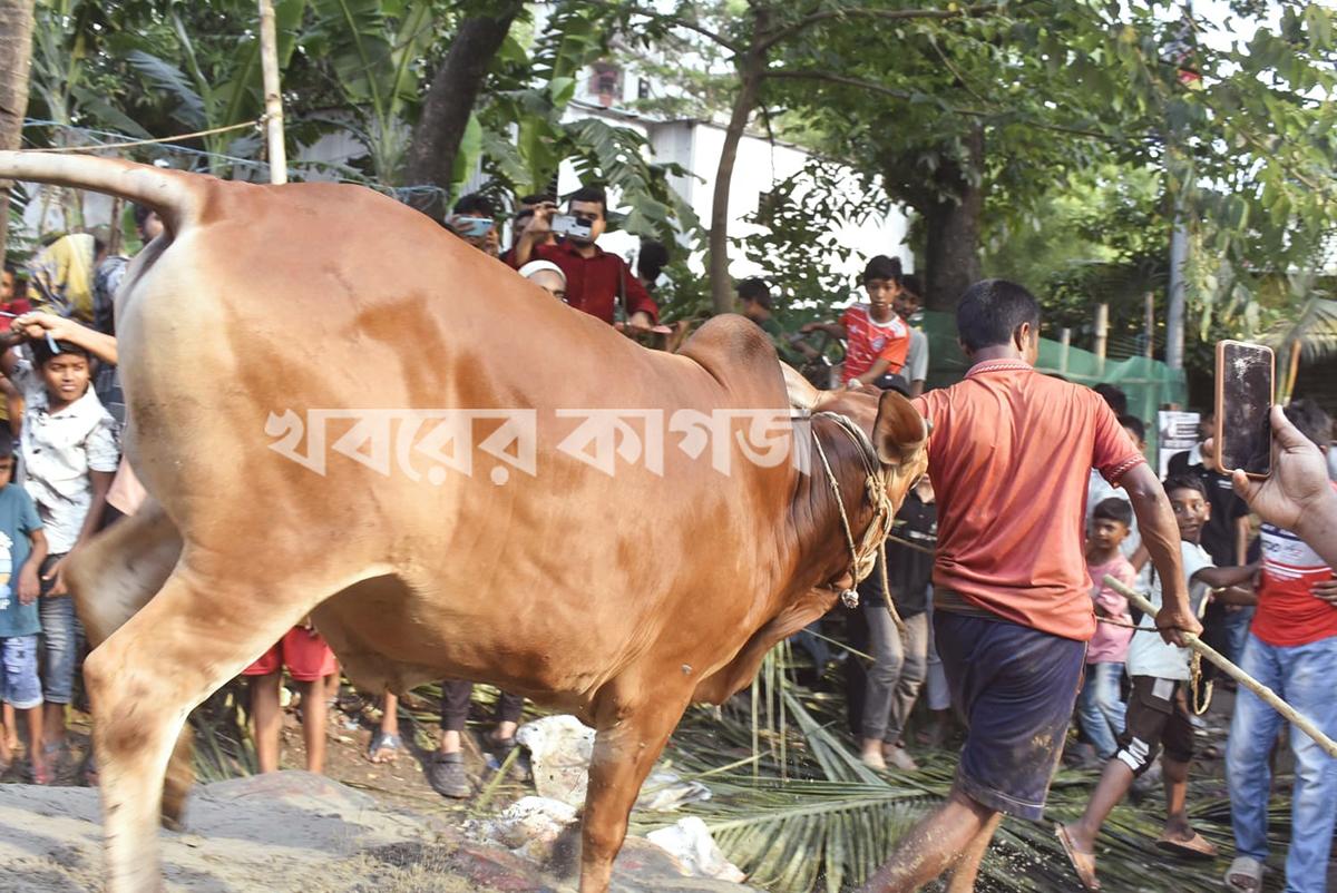 আজিমপুর